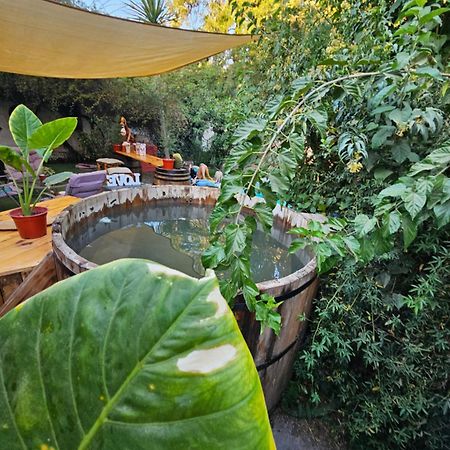 La Araucaria Cabana Con Tinaja San Felipe Zewnętrze zdjęcie