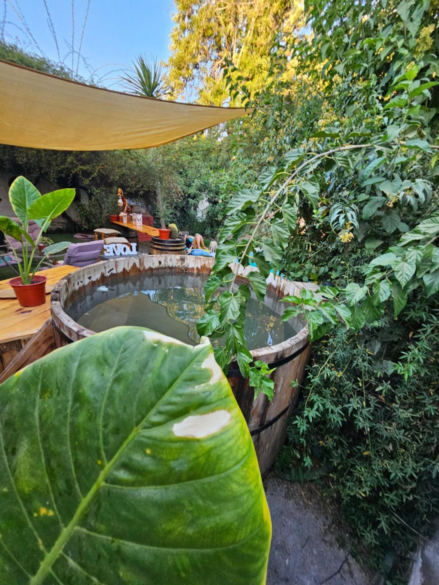 La Araucaria Cabana Con Tinaja San Felipe Zewnętrze zdjęcie