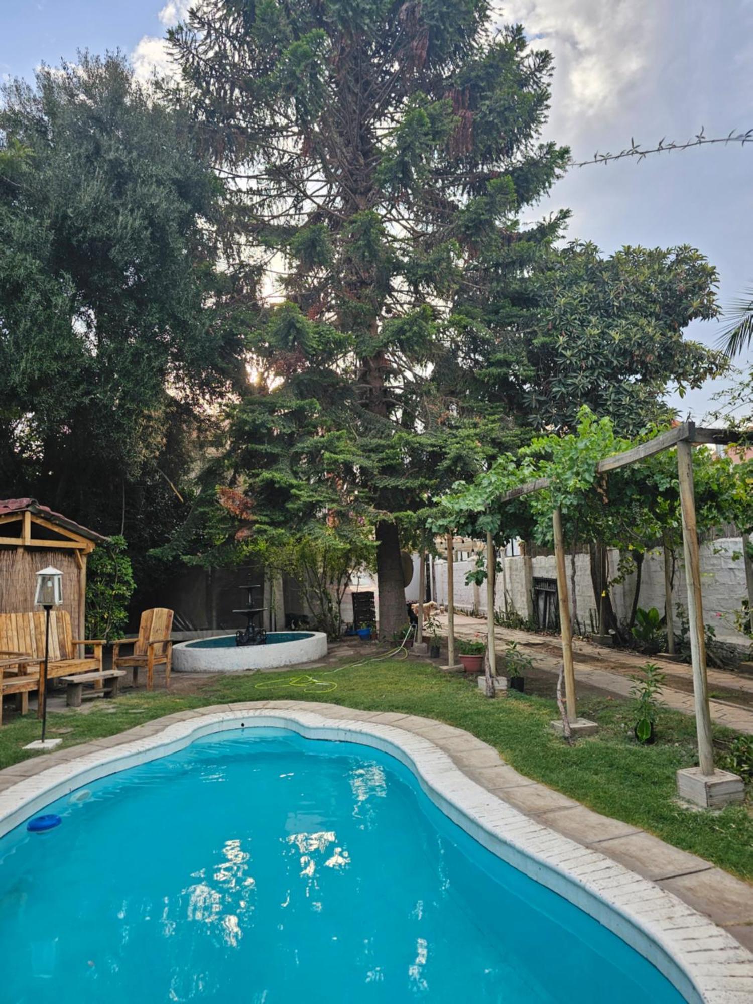 La Araucaria Cabana Con Tinaja San Felipe Zewnętrze zdjęcie
